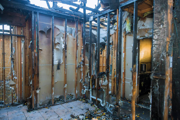 Professional Fire Damage Removal technician working in Galena, KS